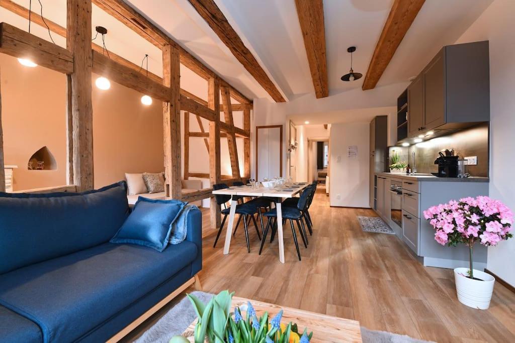 My Way - 4 Guests - 2br - Little Venise Colmar