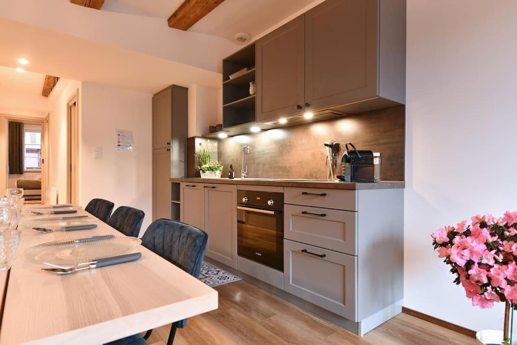 Appartement My Way - 4 Guests - 2br - Little Venise Colmar