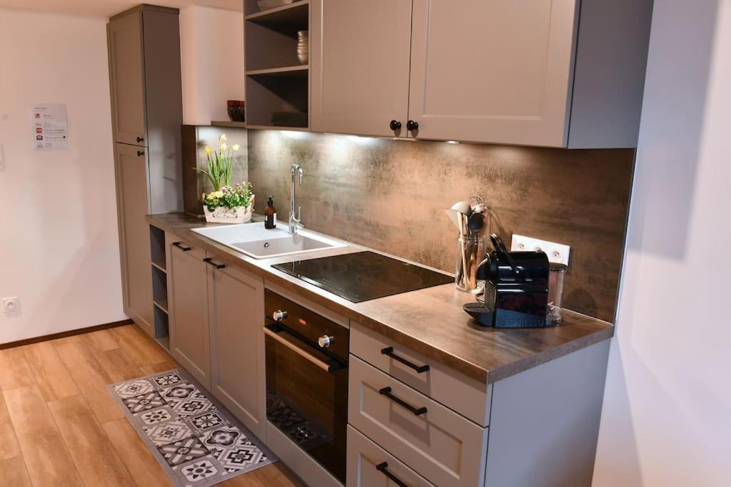 My Way - 4 Guests - 2br - Little Venise * Colmar