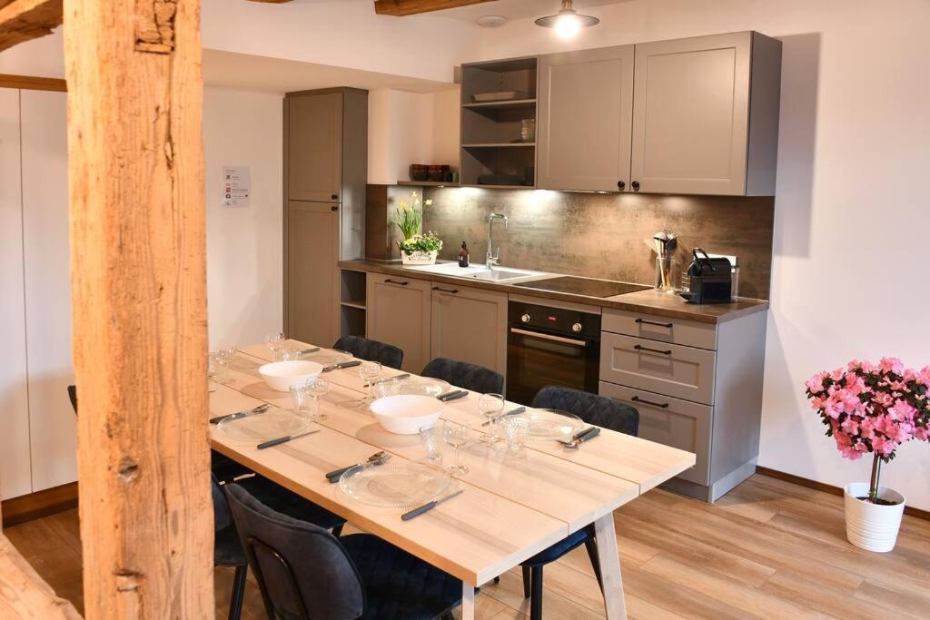 My Way - 4 Guests - 2br - Little Venise Appartement Colmar